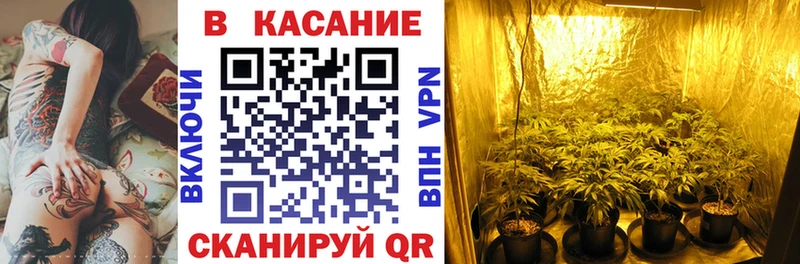Меф Боровичи