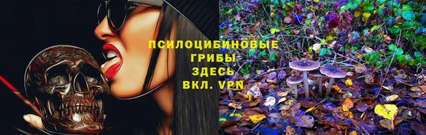 ПСИЛОЦИБИНОВЫЕ ГРИБЫ Алзамай