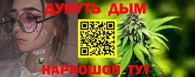 индика Братск