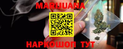 индика Братск