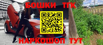 индика Братск