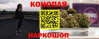 индика Братск
