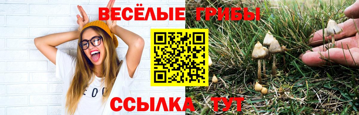 Псилоцибиновые грибы Psilocybine cubensis  Галлюциногенные грибы Cubensis  Вход с VPN  купить  цена  Боровичи 